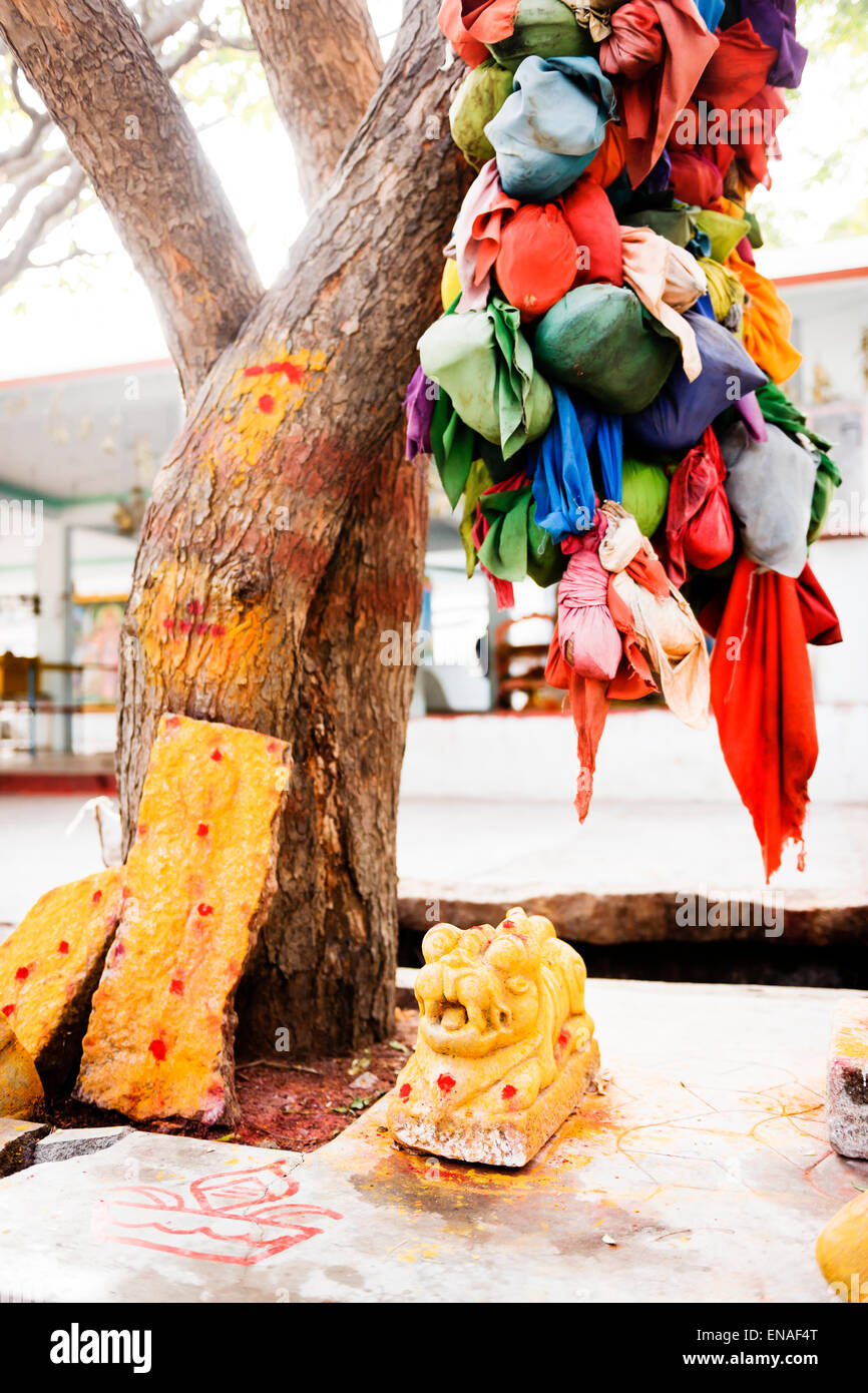 Wish Tree and shrine in Durgadevi Temple, Anegundi. Stock Photo