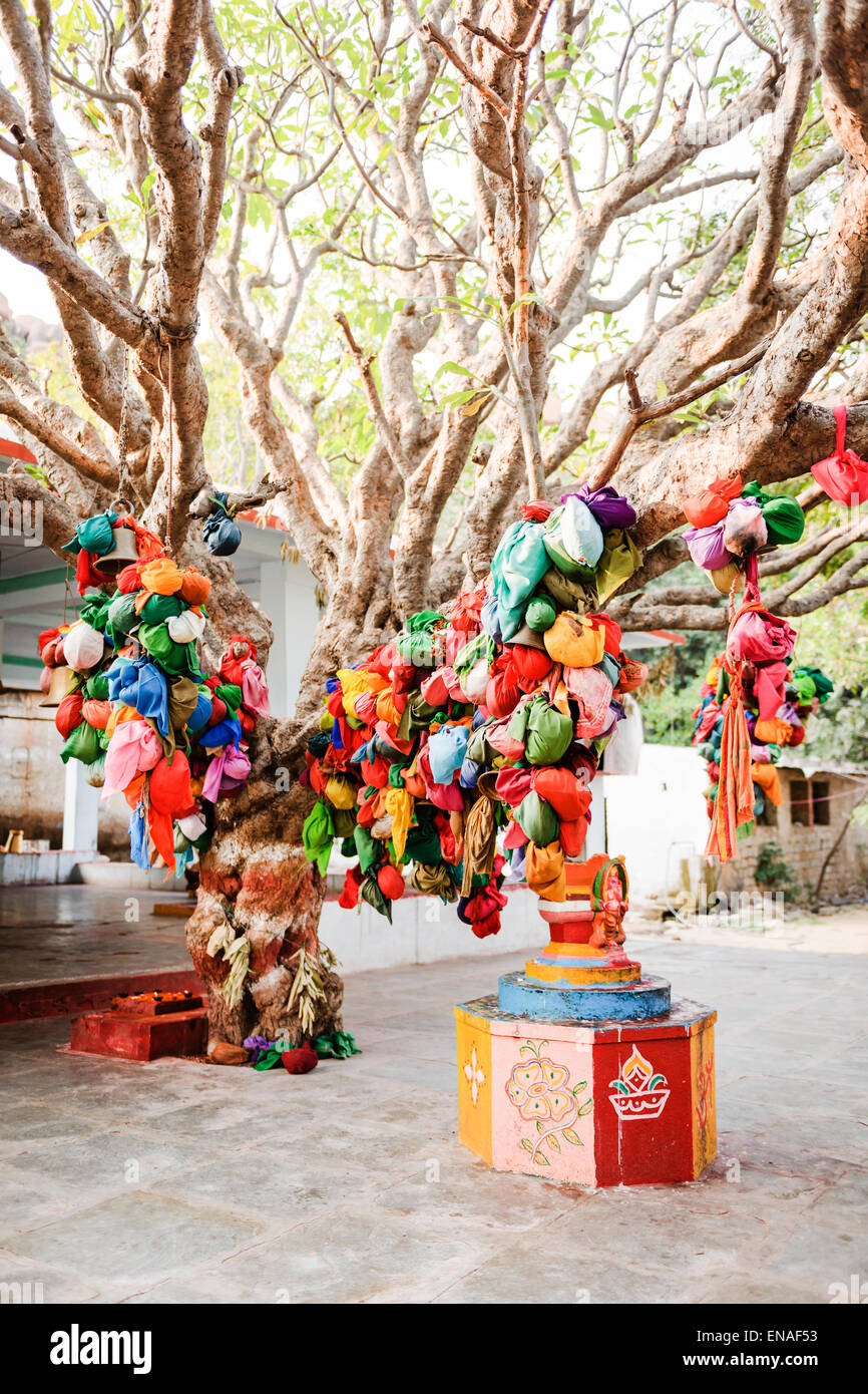 Wish Tree and shrine in Durgadevi Temple, Anegundi. Stock Photo