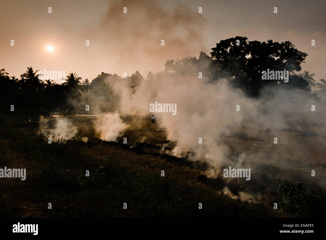 Farmers burning the fields in Anegundi. Stock Photo