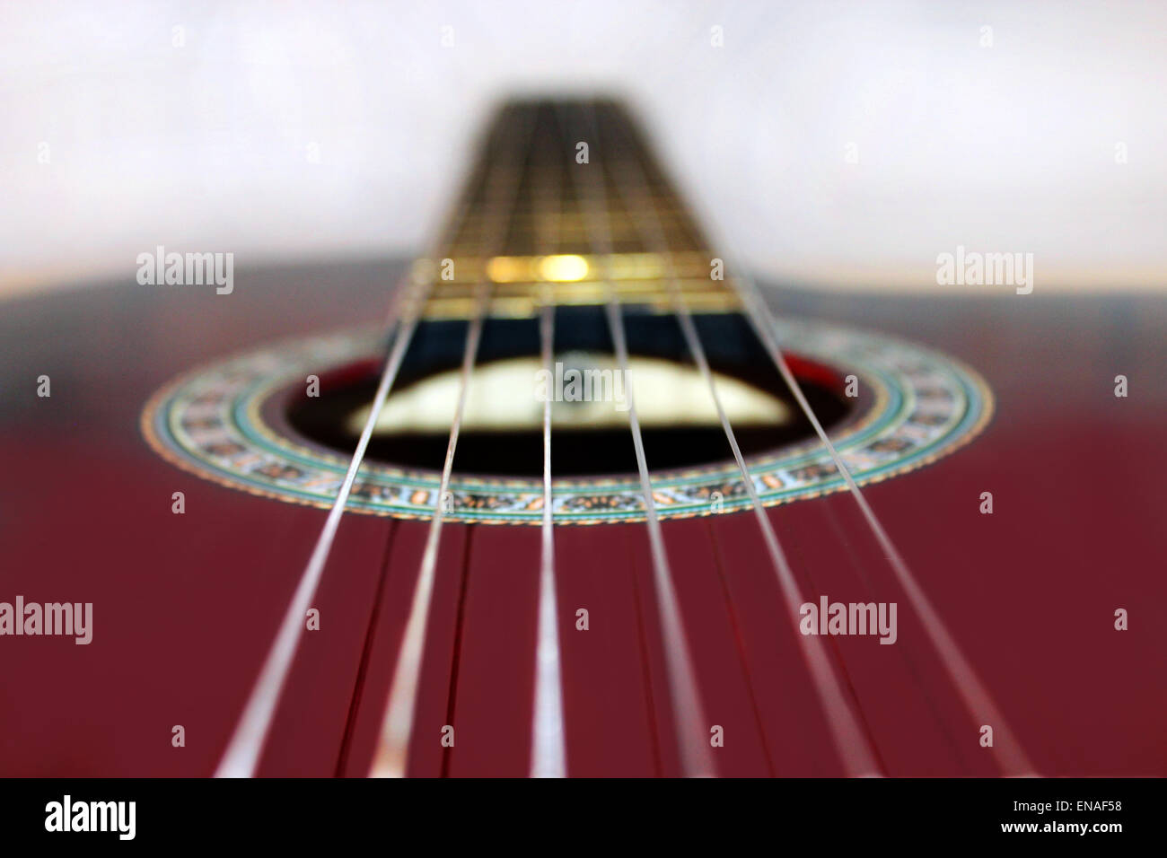 close-up of finger-board and strings of guitar Stock Photo