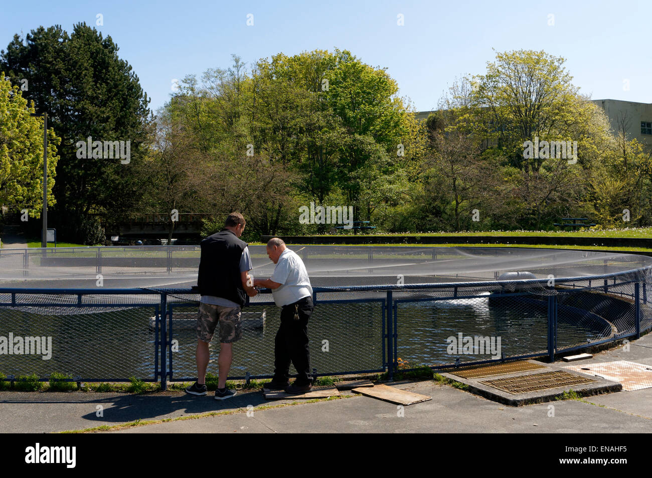 Two workers at the Maritime Heritage Center Fish Hatchery, Bellingham