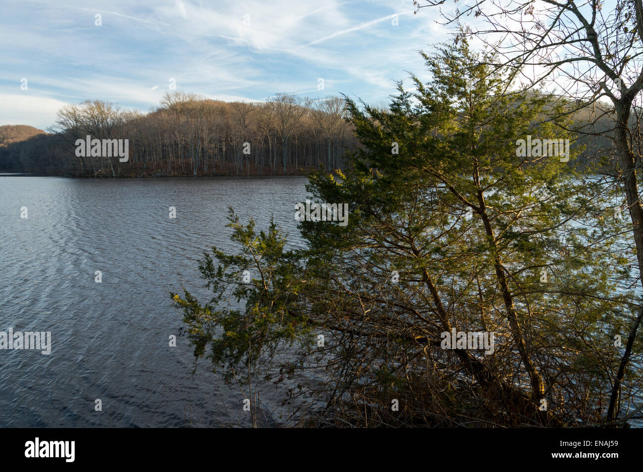 View of Radnor Lake in Nashville, Tennessee Stock Photo Alamy
