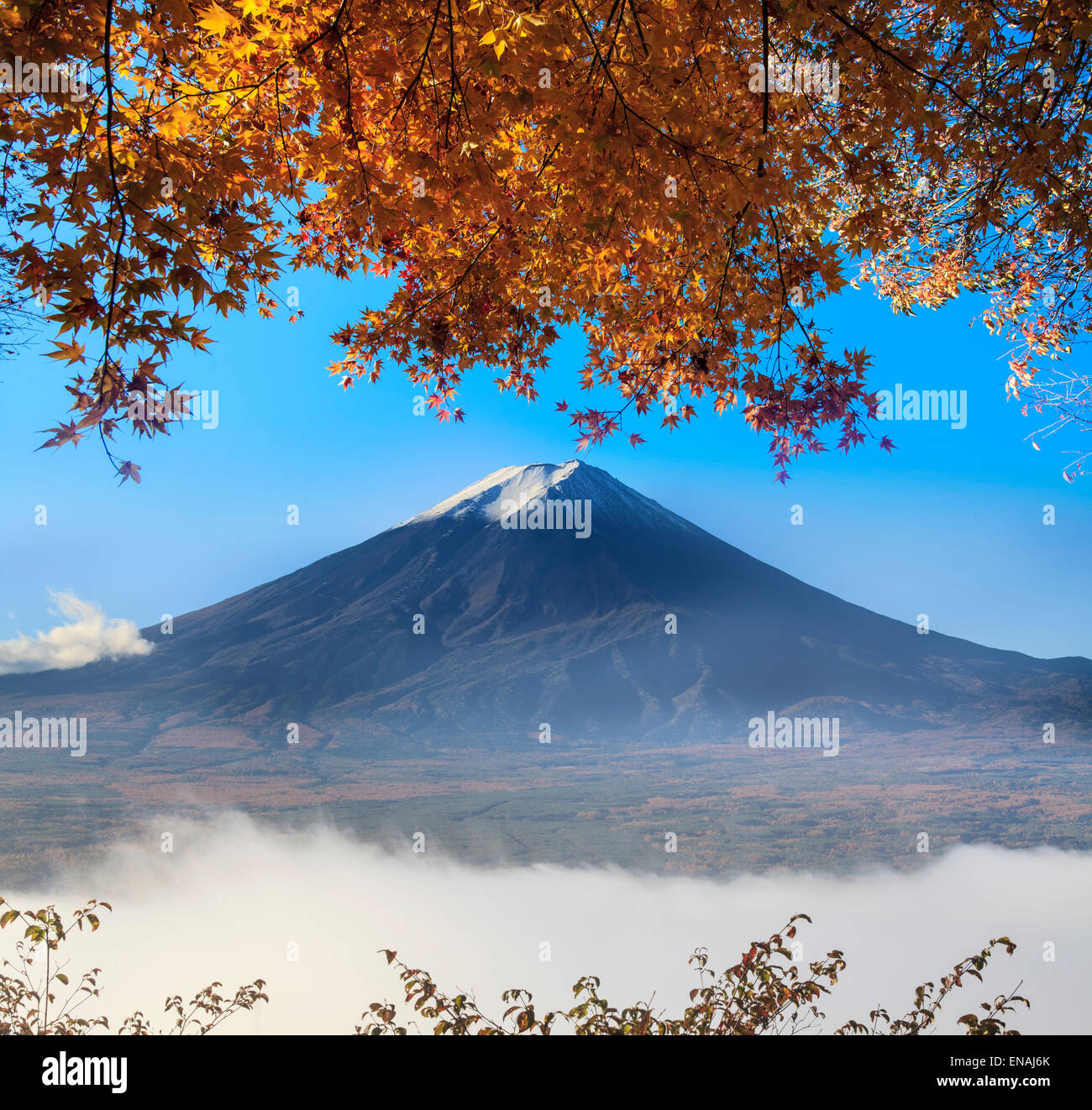 Mt. Fuji with fall colors in japan for adv or others purpose use Stock Photo