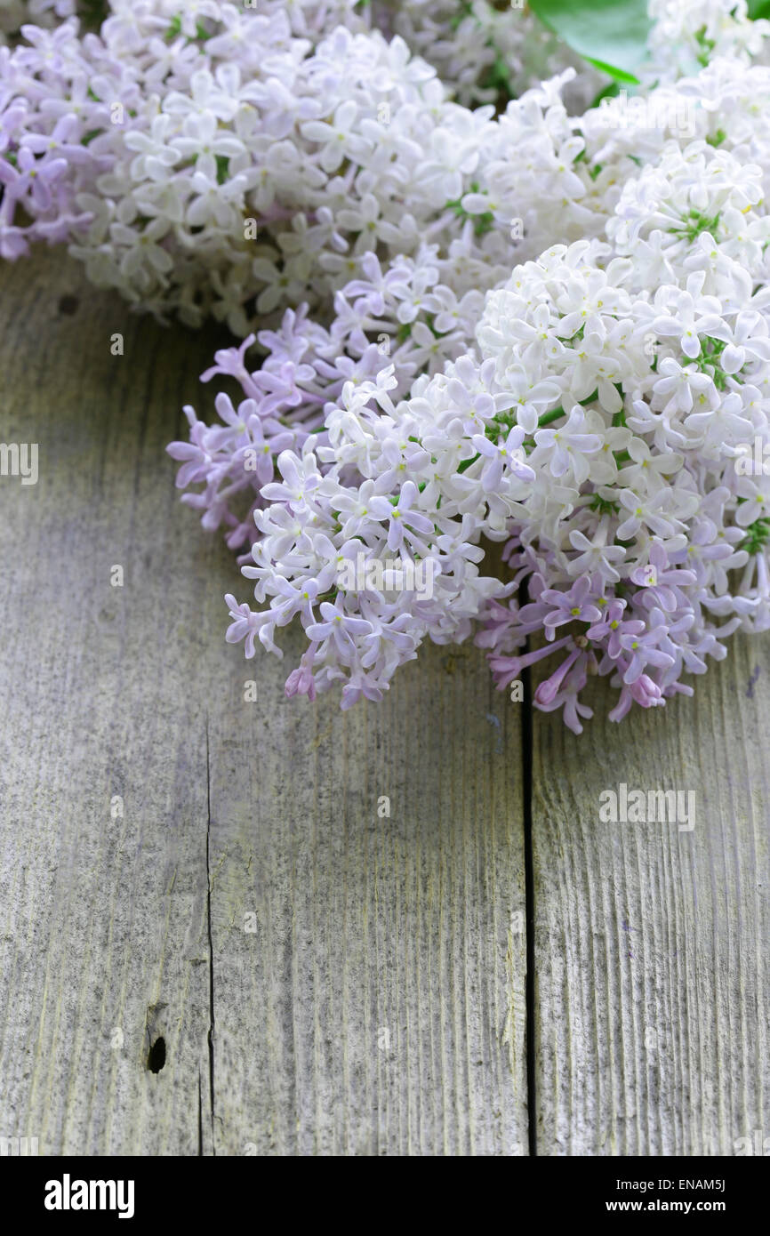 branches of blooming lilacs on an old wooden background Stock Photo - Alamy