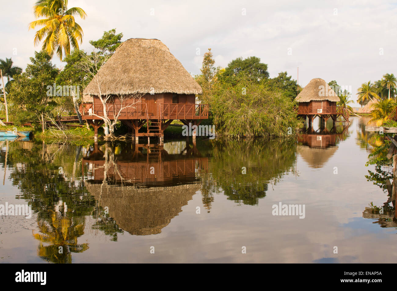 Laguna del Tesoro, Treasure Lagoon, Palm trees and wooden cabins, Zapata Peninsula, Cuba, Central America Stock Photo