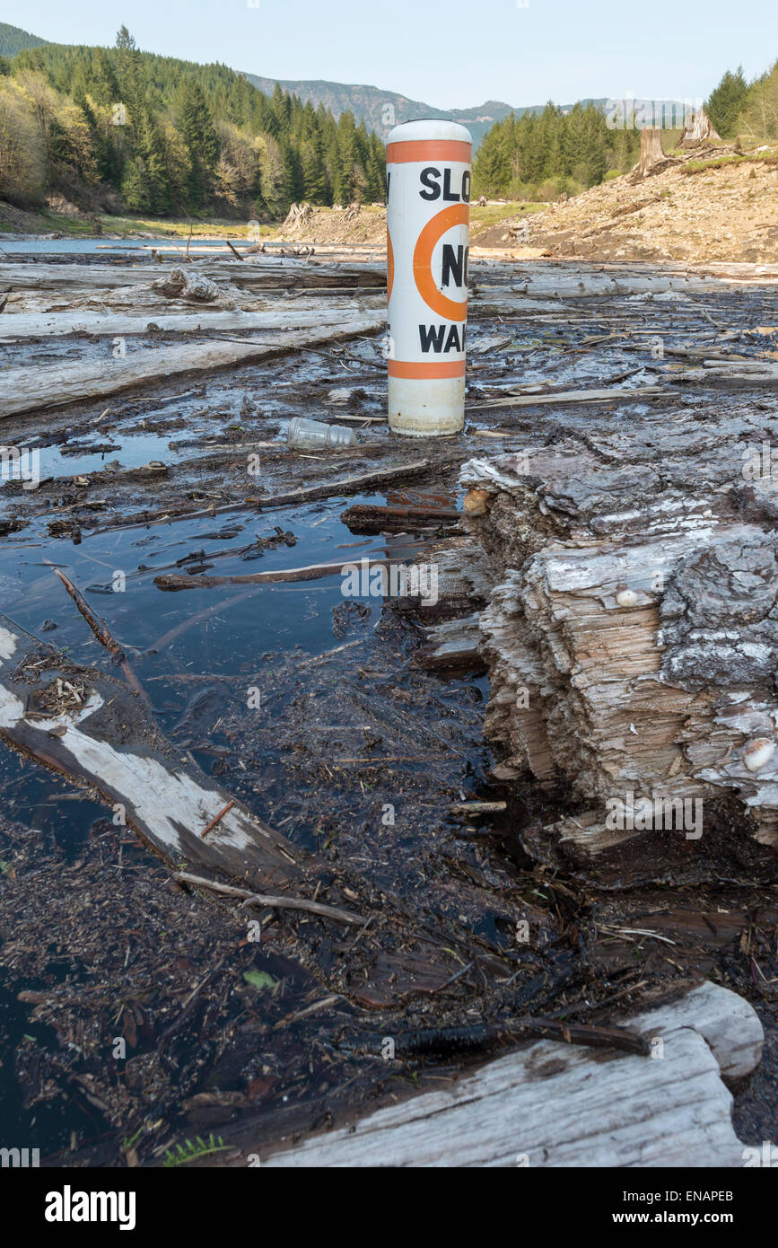 Buoy, litter and floating logs at the head of Green Peter Reservoir in