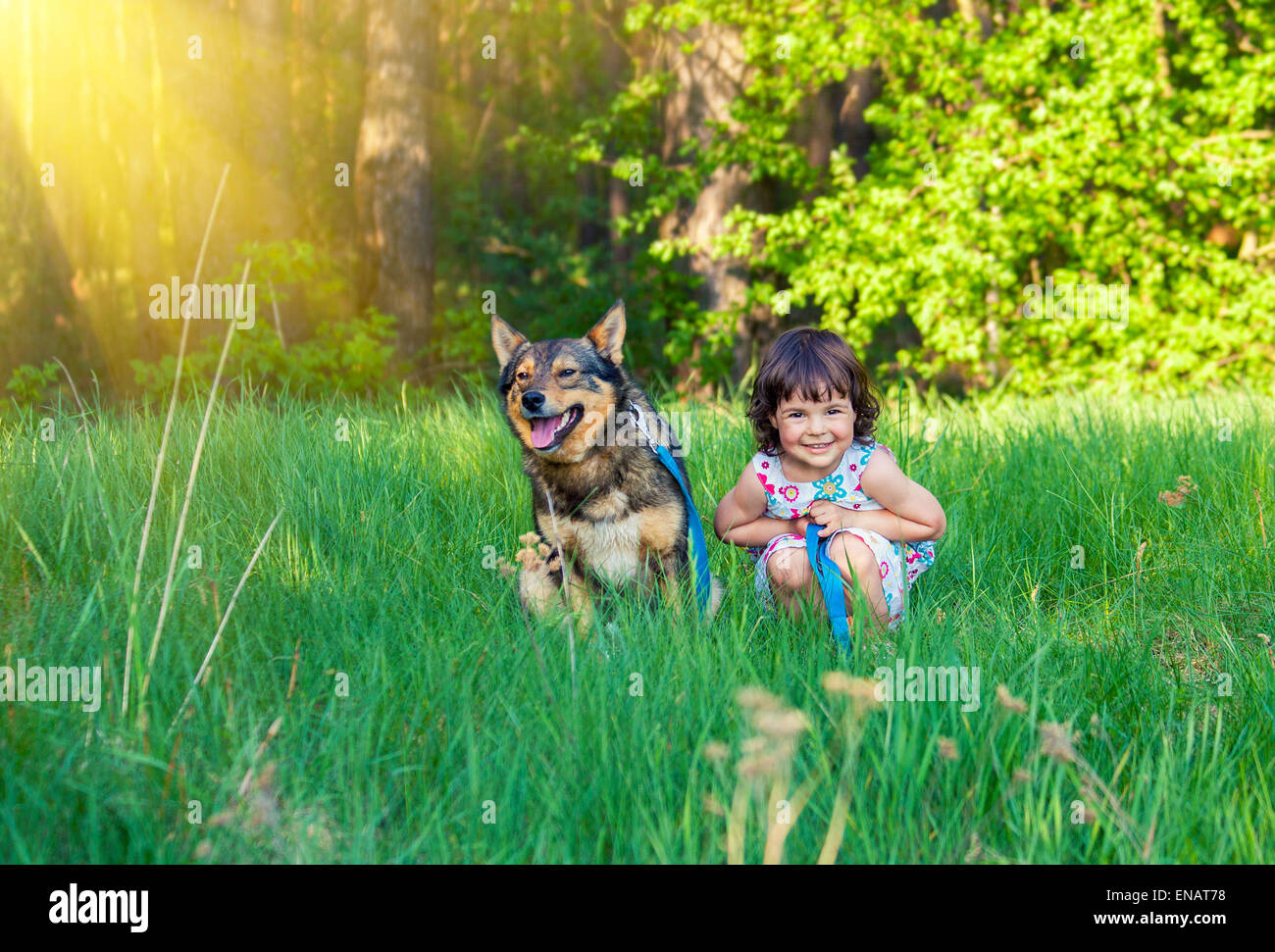 Little girl with dog in the park Stock Photo - Alamy