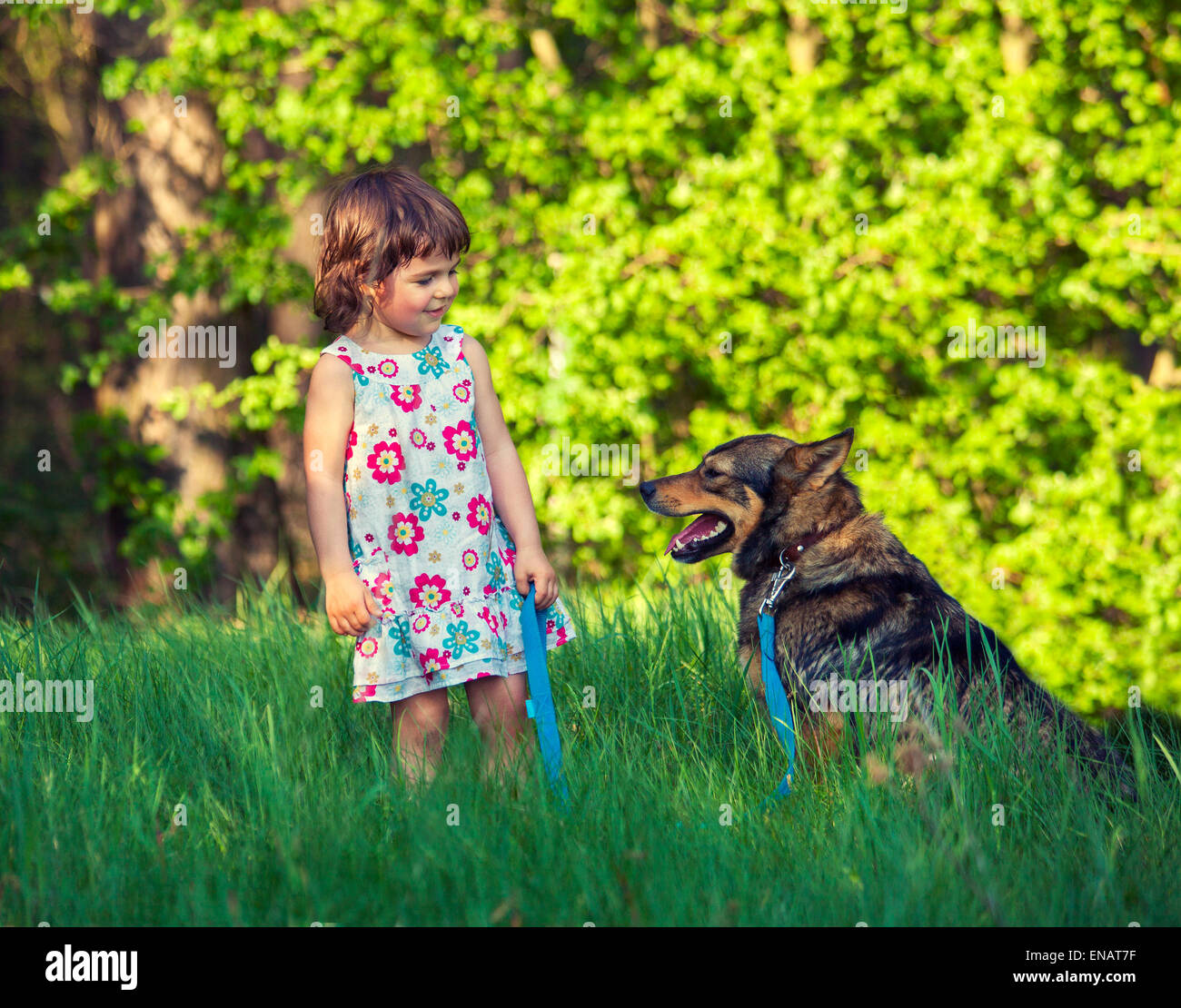 Little girl with dog in the park Stock Photo - Alamy