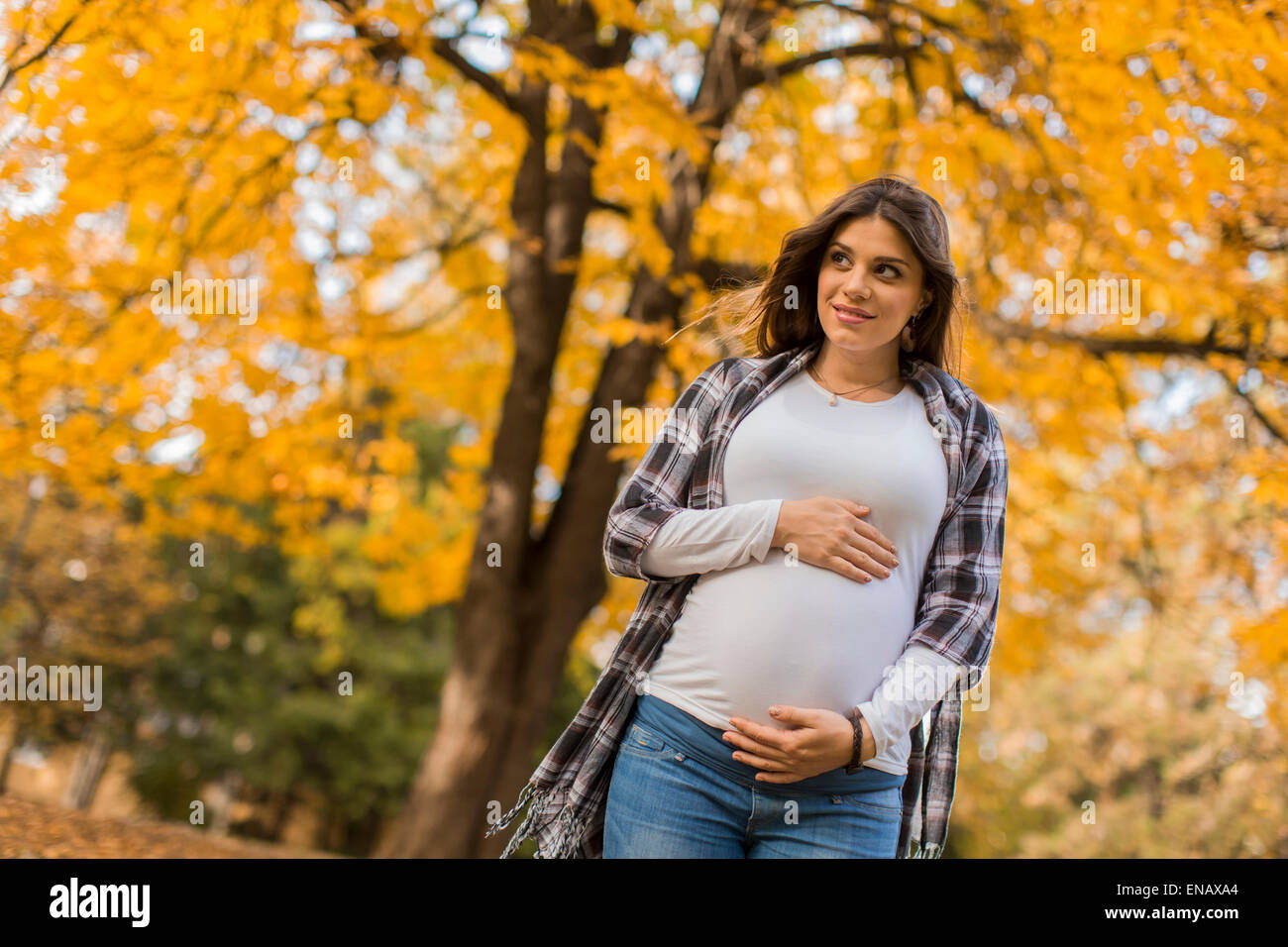 Young pregnant woman in the autumn park Stock Photo - Alamy