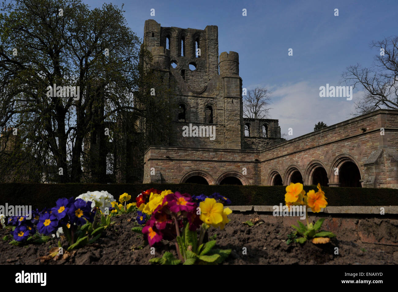 Kelso Abbey; 12th century; Scottish Borders; tourist attraction; Tironensians Stock Photo