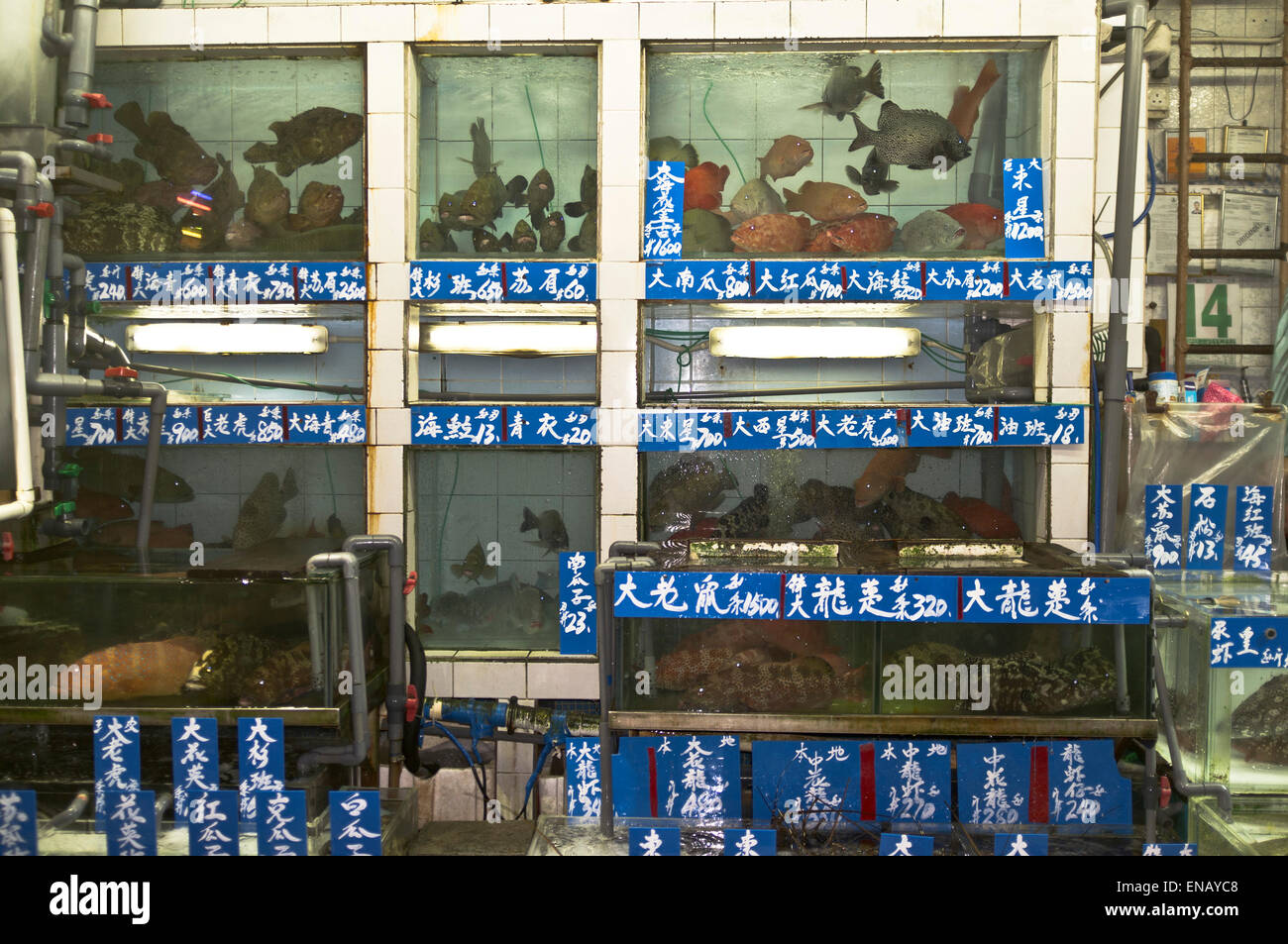dh Fish tank MARKET HONG KONG Hong kong fish market fish for sale tanks china Stock Photo