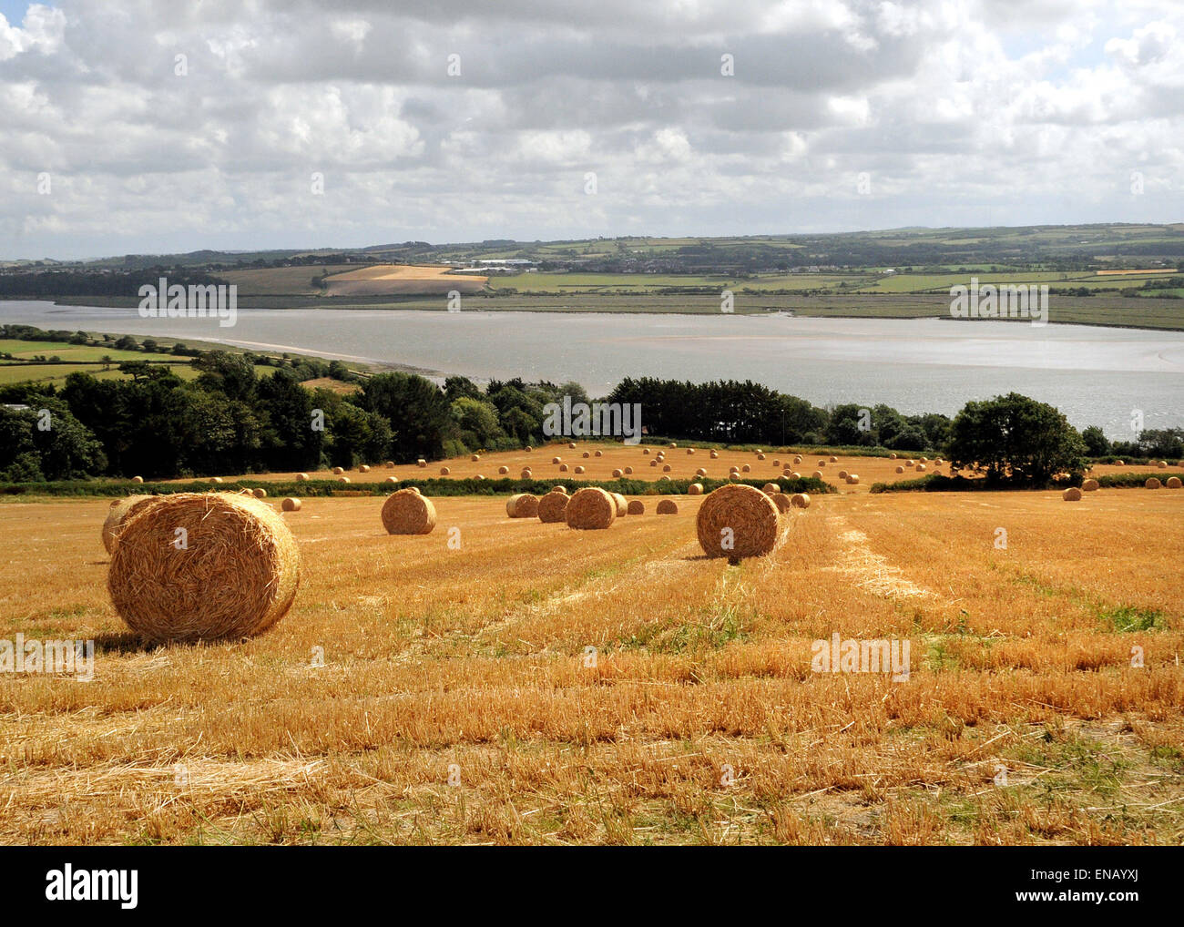 North Devon View Summer fields at Ashford overlooking the Taw estuary
