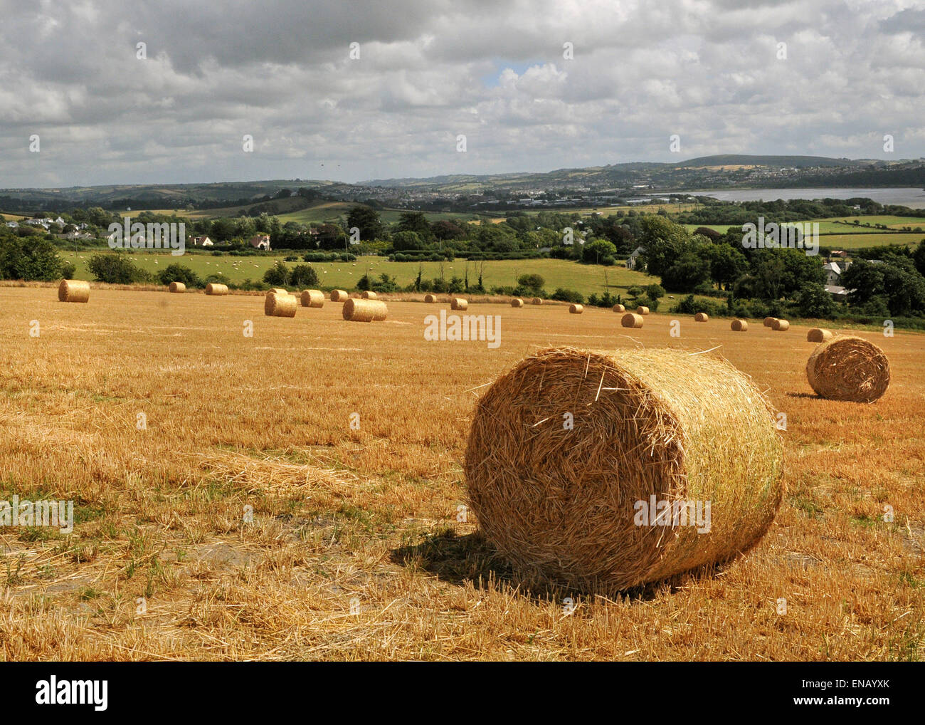 North Devon View Summer fields at Ashford overlooking the Taw estuary