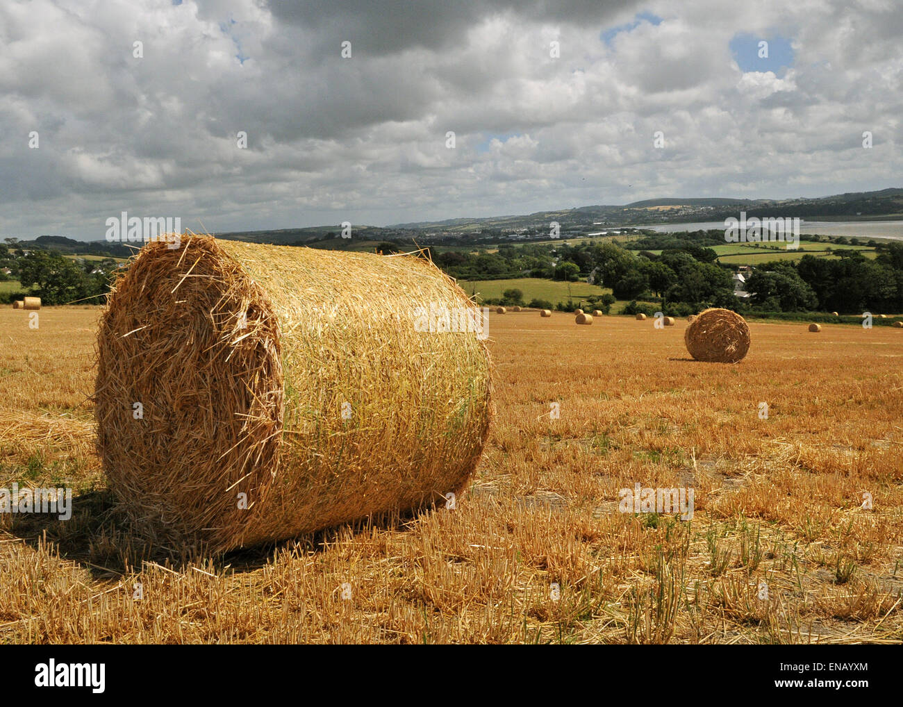 Bales and devon fields hires stock photography and images Alamy