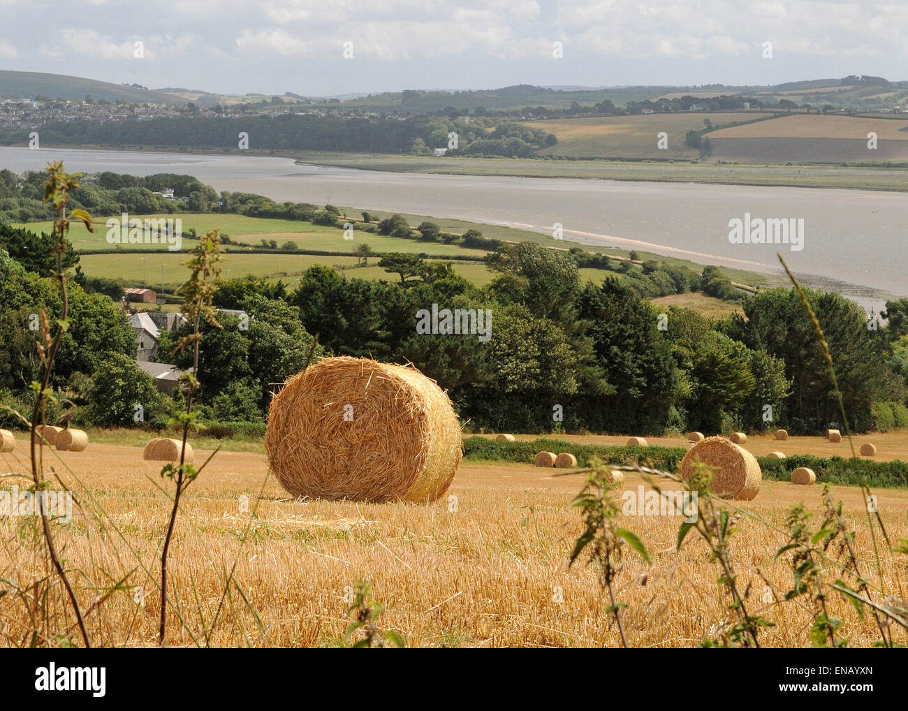 Bales and devon fields hires stock photography and images Alamy