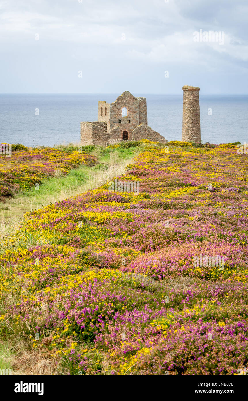 Wheal Coates Tin Min Ruins In Cornwall England Uk Stock Photo Alamy wheal-coates-tin-min-ruins-in-cornwall-england-uk-stock-photo-alamy
