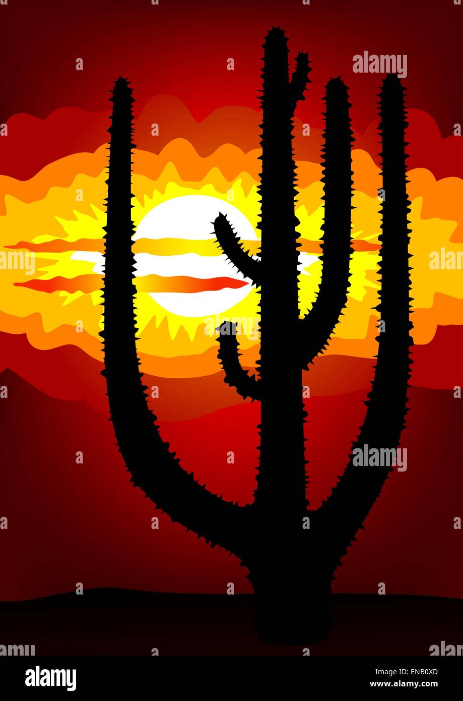 Abstract image of the cactus and sunset - Mexico sunset - vector Stock Vector