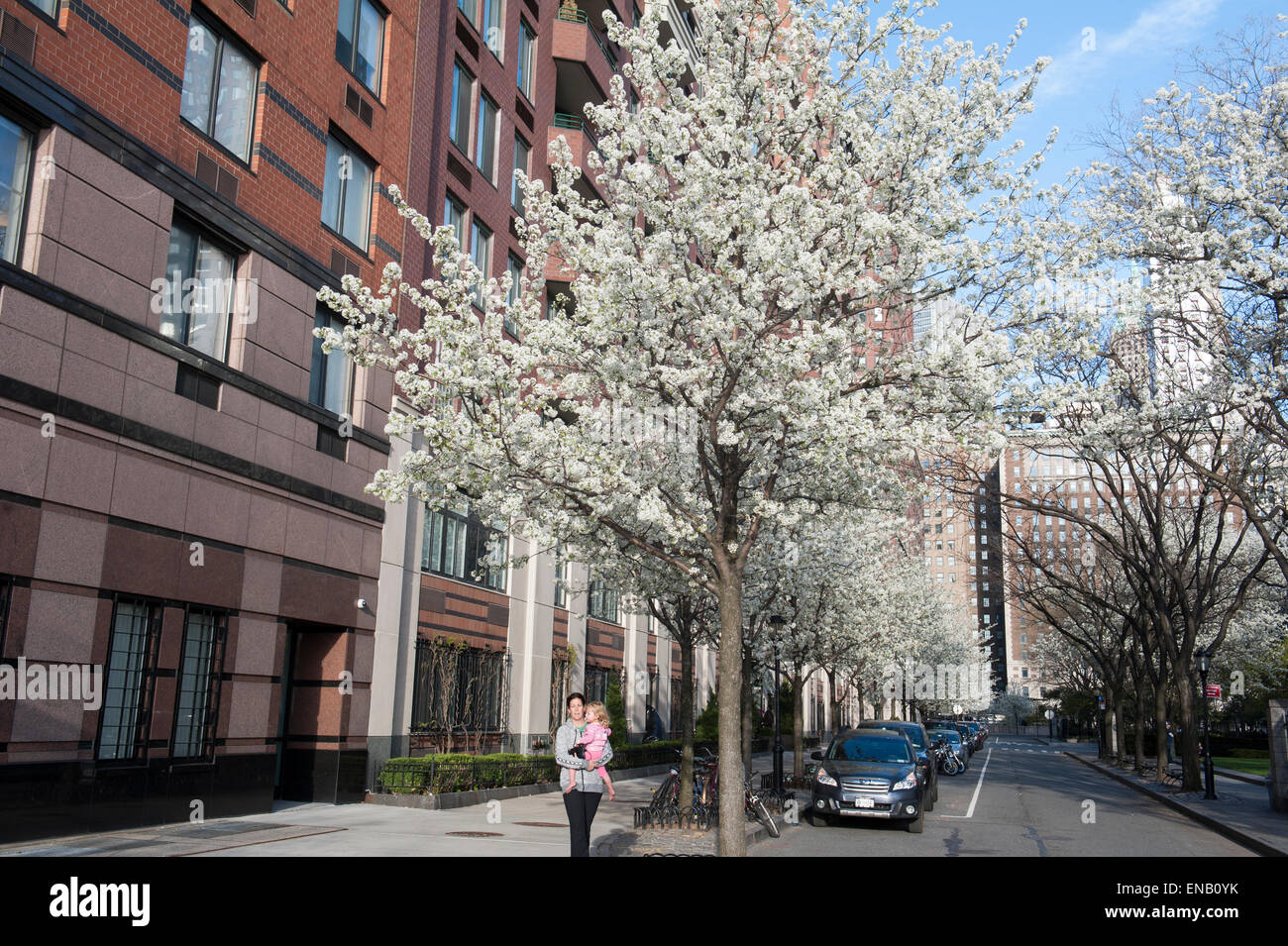 Rector Place in Battery Park City, a neighborhood in Manhattan, with