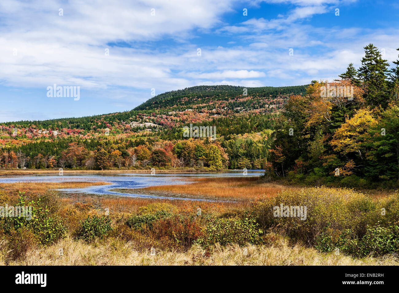 Autumn color on Eagle Lake, Acadia National Park, Maine, USA Stock