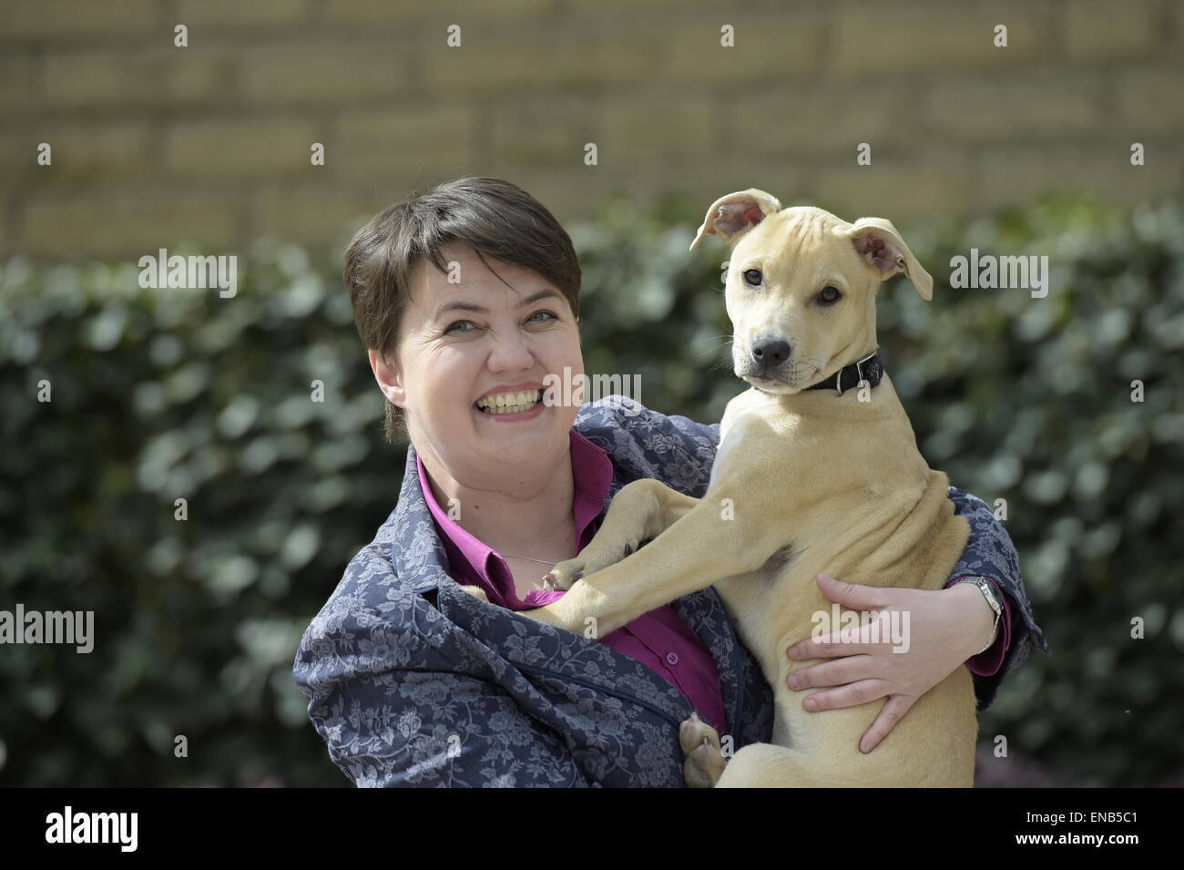 Galashiels, UK. 01 May 2015. General Election 2015.  Scottish Conservative leader Ruth Davidson at a street stall in Galashiels, in the Scottish Borders. In the final few days of campaigning, Ruth joins local candidate John Lamont (Berwickshire, Roxburgh & Selkirk) in the Market Square. The final push campaigning in the run up to the General Election on 7th May 2015.  Local Candidate John Lamont (Scottish Conservative and Unionist Party) on the streets. Credit:  Rob Gray/Alamy Live News Stock Photo