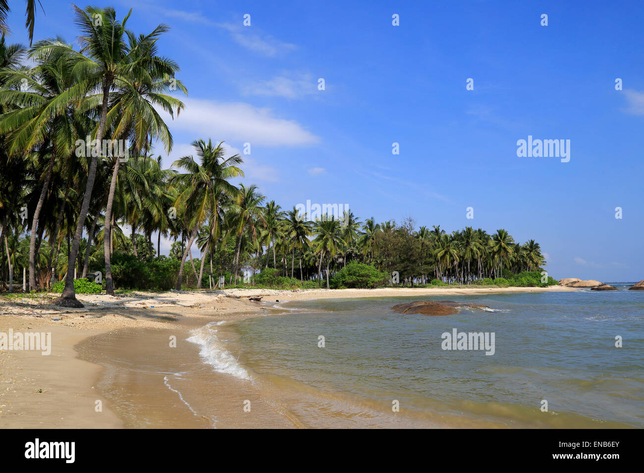 Quiet sandy beach with palm trees hi-res stock photography and images ...