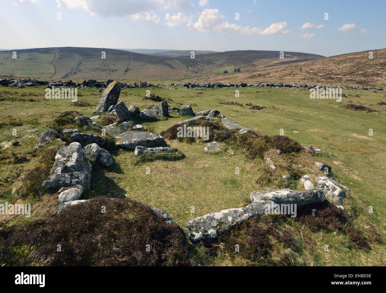 Grimspound. A late Bronze Age settlement on Dartmoor, Devon, UK. 24 hut