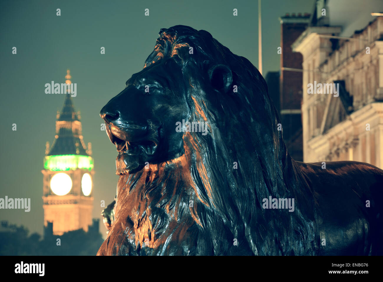 Trafalgar Square lion statue and Big Ben in London Stock Photo - Alamy