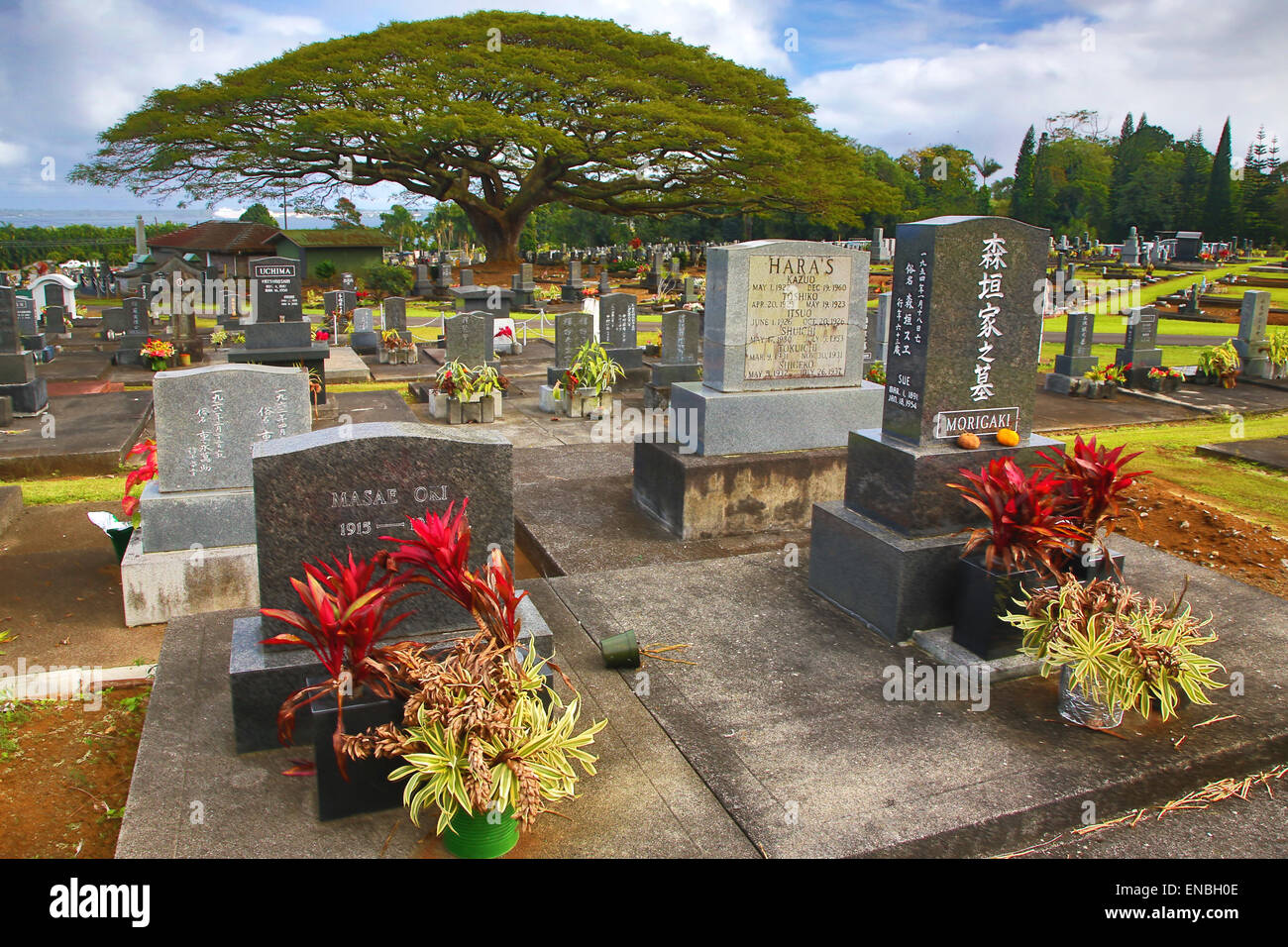 Alae Cemetery near Hilo, Hawaii Stock Photo