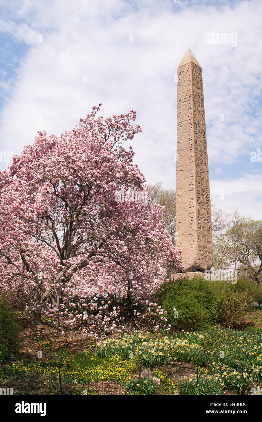 Springtime view of Egyptian Obelisk in Central Park, NYC, USA Stock