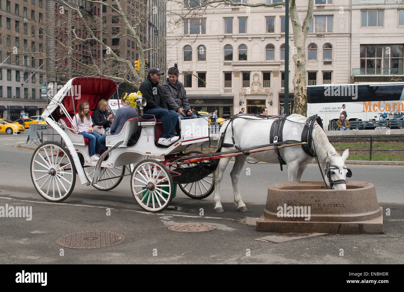 Carriage horse drinking water from trough outside Central Park, NYC ...