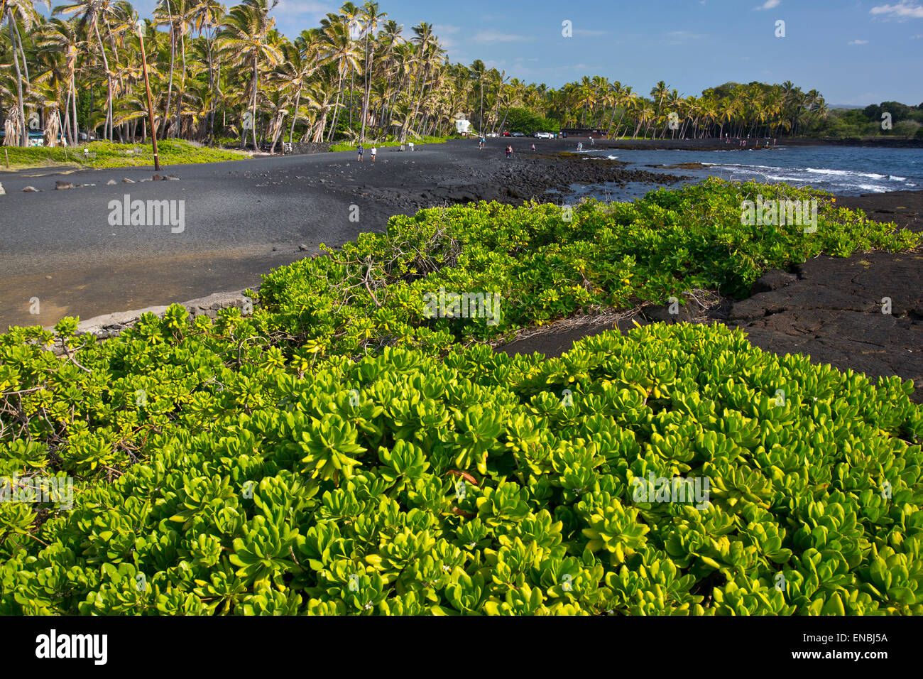 Punaluu Black Sand Beach on the Big Isand Stock Photo - Alamy