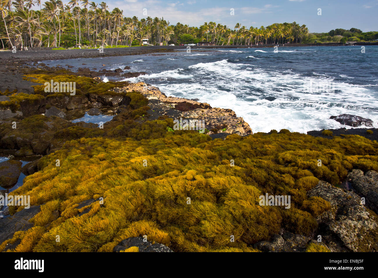 Punaluu Black Sand Beach on the Big Isand Stock Photo - Alamy