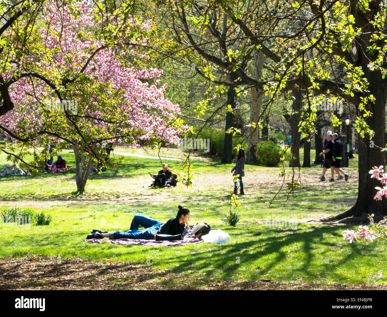 Young Couple on Blanket Enjoying Springtime, Central Park, NYC Stock Photo Alamy