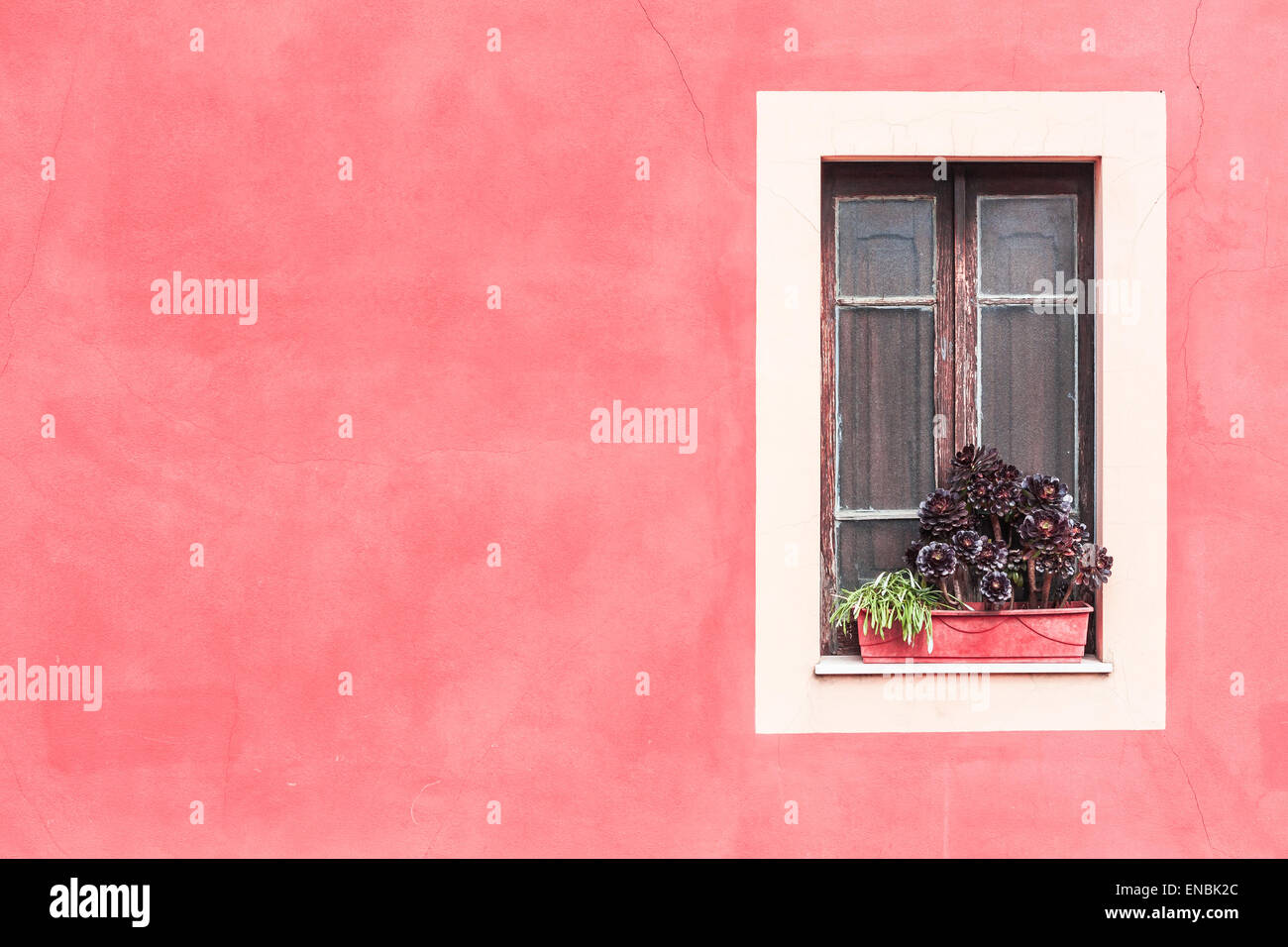 Closed window with planter and red wall Stock Photo - Alamy