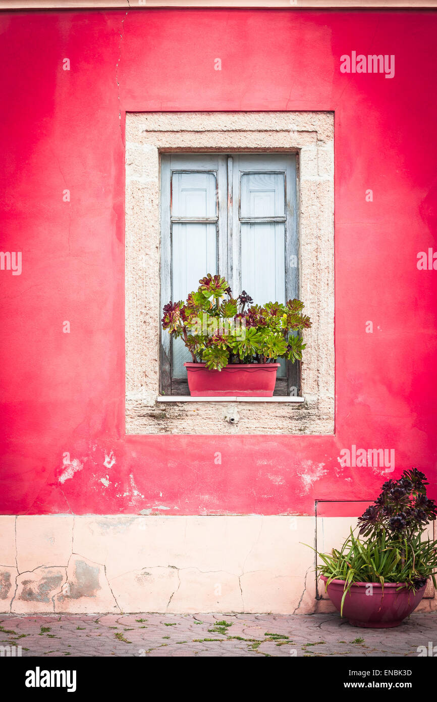 Closed window with planter and red wall Stock Photo - Alamy