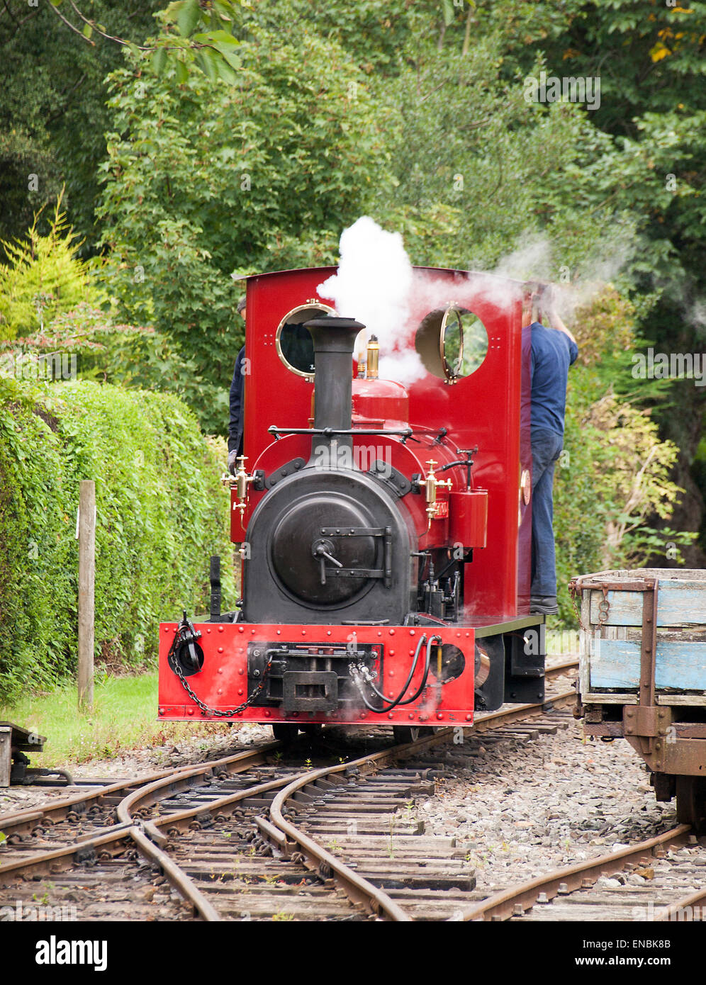 Narrow gauge steam locomotive, Lancashire Stock Photo - Alamy