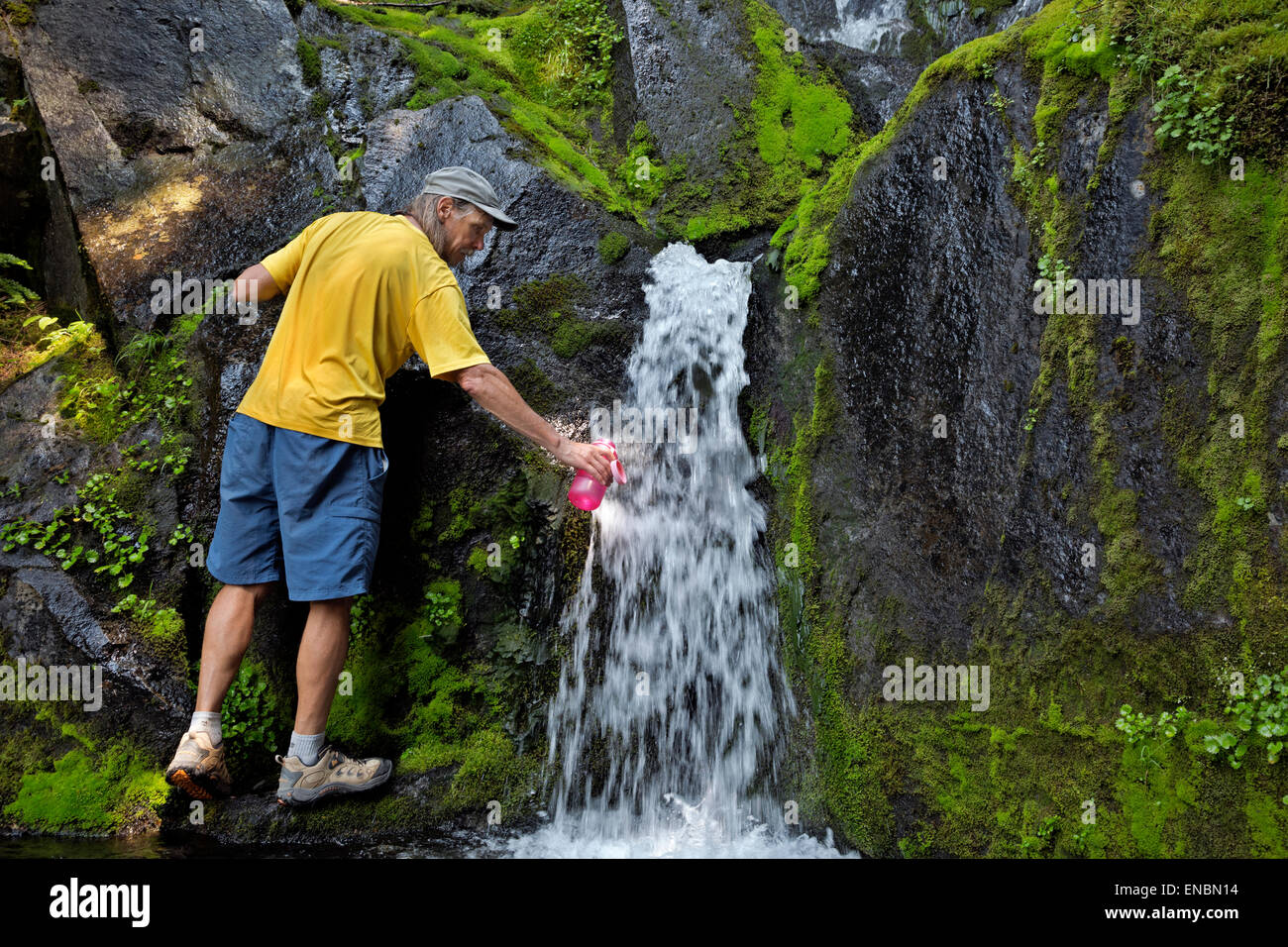 WASHINGTON - Hiker filling water bottle along the Wonderland Trail below Moraine Park in Mount Rainier National Park. Stock Photo
