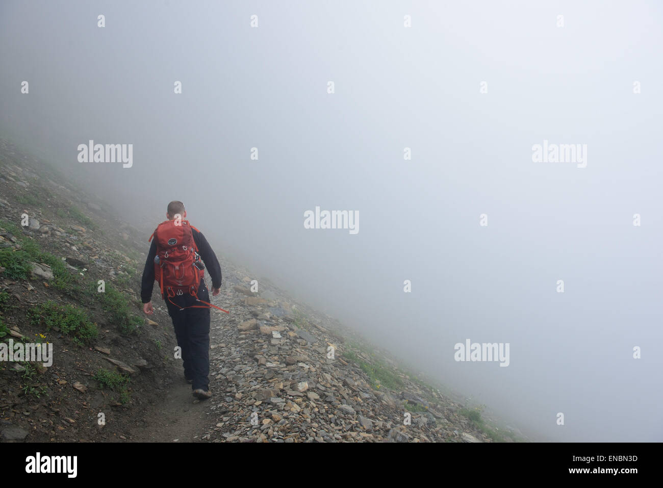 Back view male hiker walking hi-res stock photography and images - Alamy