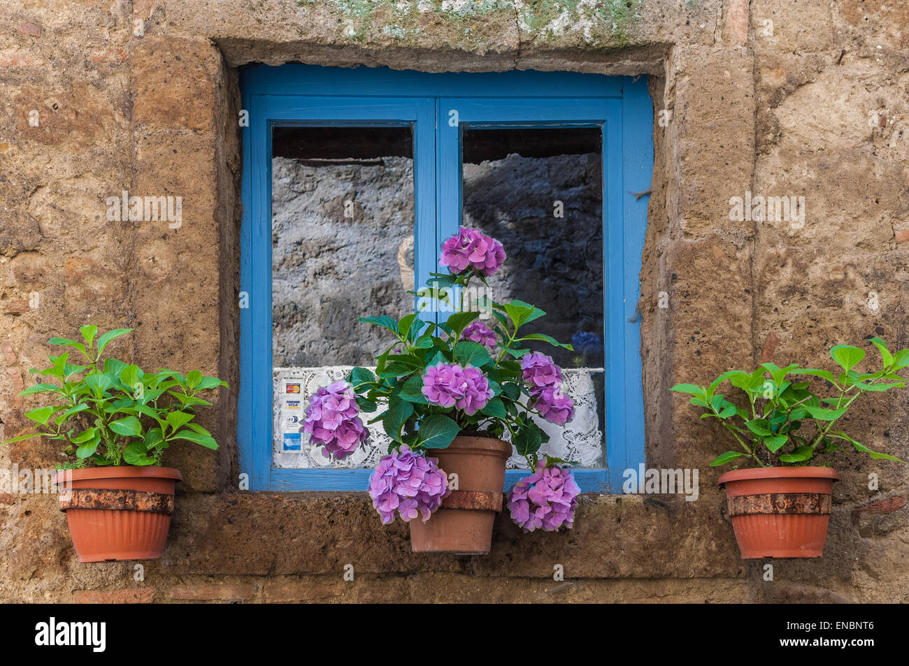 Blue window with hanging flower pots in Civita di Bagnoregio, Italy Stock Photo