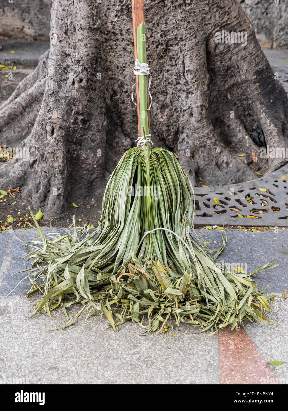 Palm brooms hi-res stock photography and images - Alamy