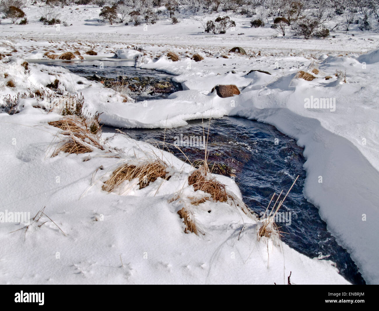 Australia: Creek at Rennix Gap, Snowy Mountains, NSW Stock Photo
