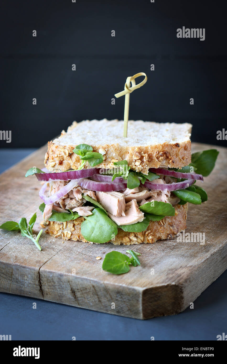 Tuna sandwich with red onion and watercress Stock Photo Alamy
