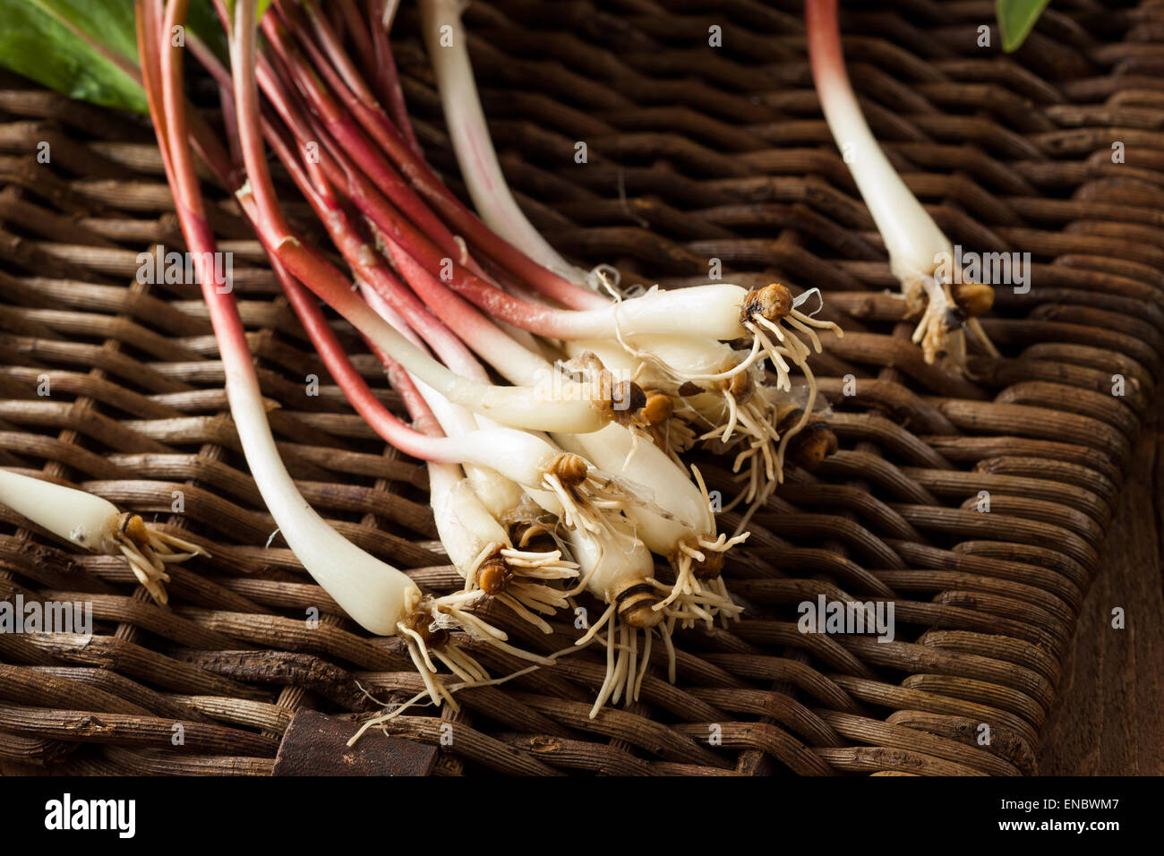 Raw Organic Green Ramps Ready to Cook With Stock Photo Alamy