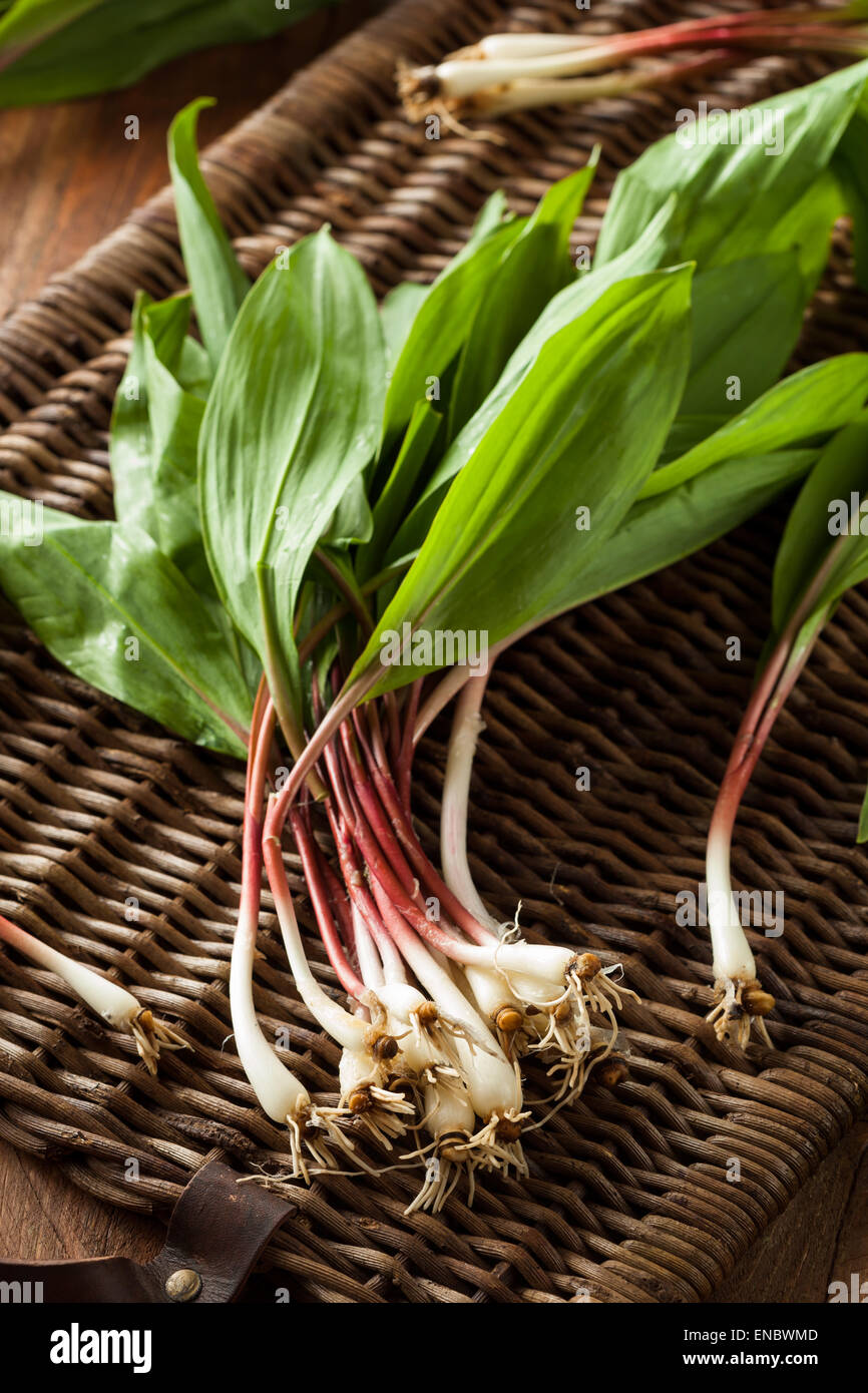 Ramps Vegetable Stock Photos & Ramps Vegetable Stock Images Alamy