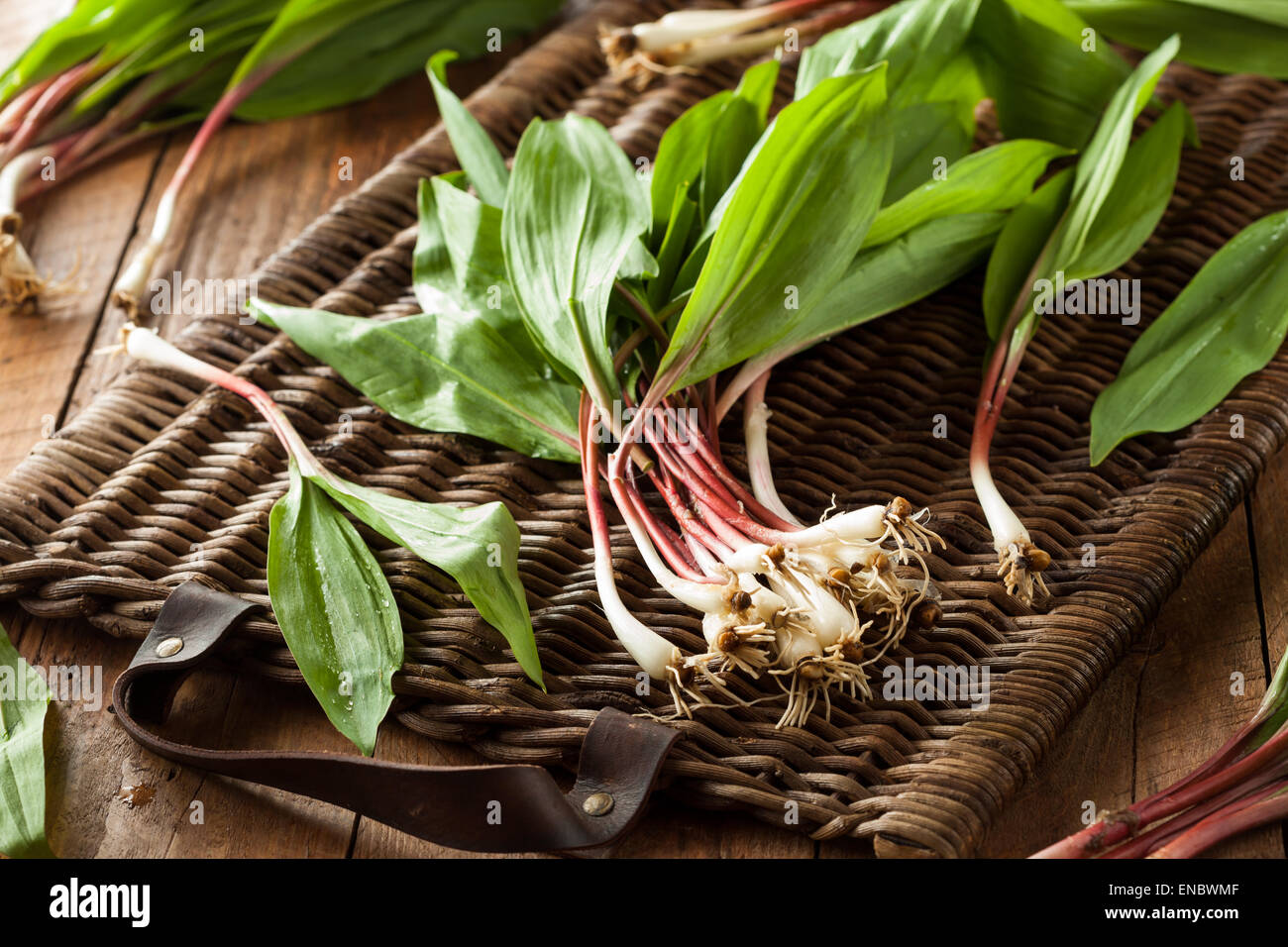 Raw Organic Green Ramps Ready to Cook With Stock Photo Alamy