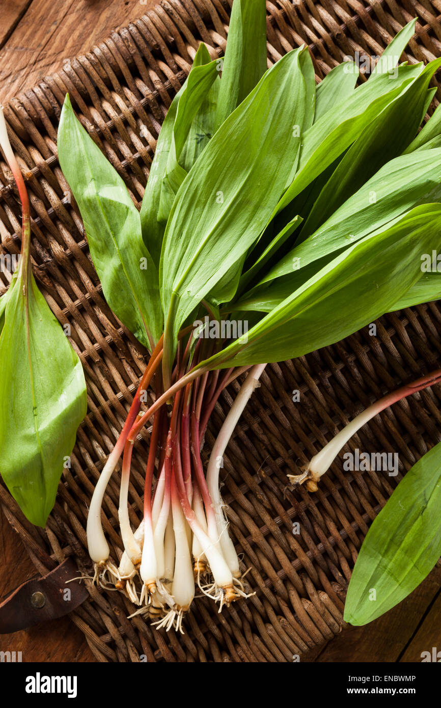 Ramps Vegetable Stock Photos & Ramps Vegetable Stock Images Alamy
