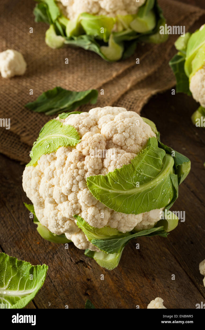Raw Organic Cauliflower Heads with Fresh Green Leaves Stock Photo
