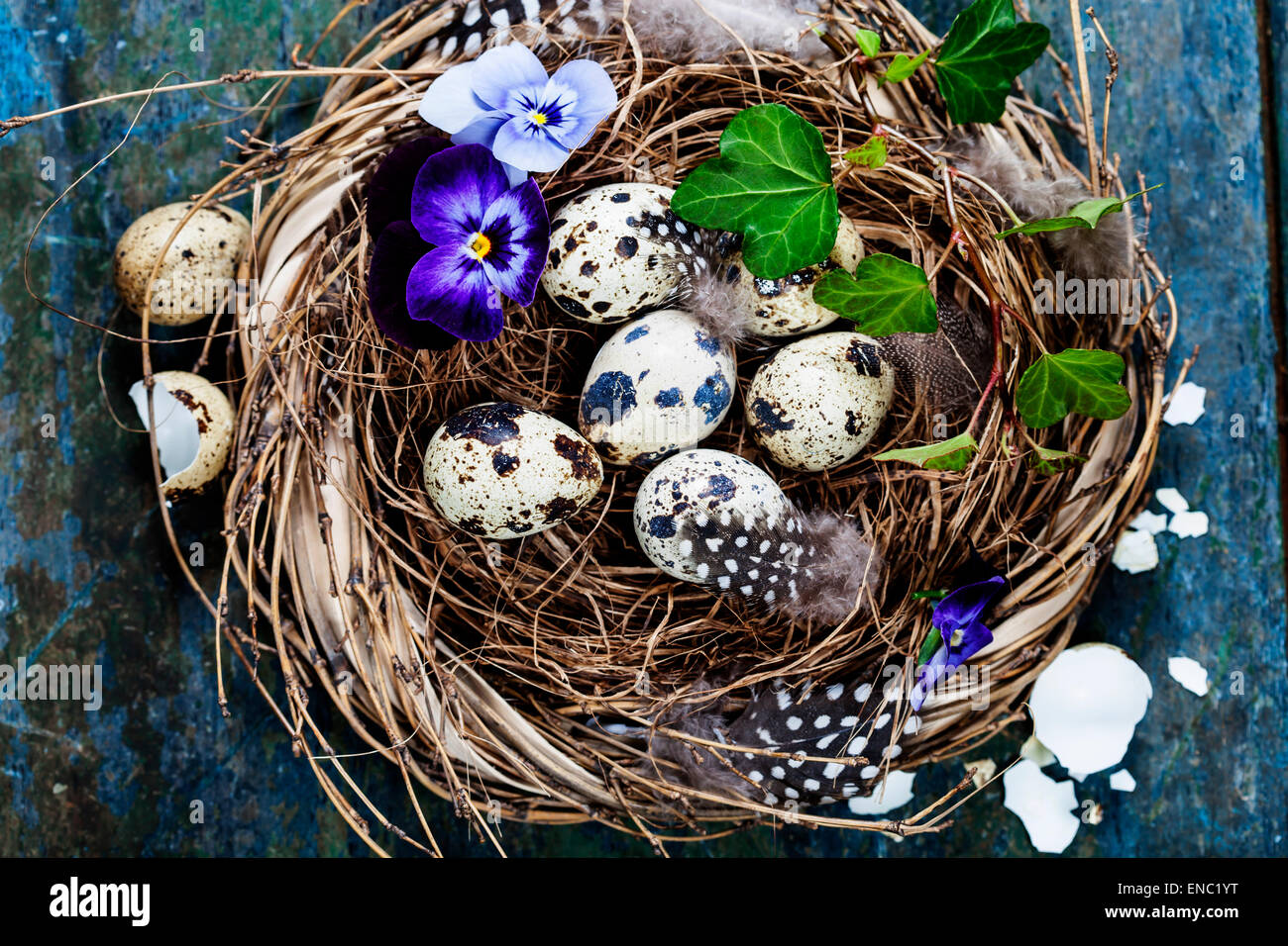 Easter background with eggs, nest and flowers Stock Photo - Alamy