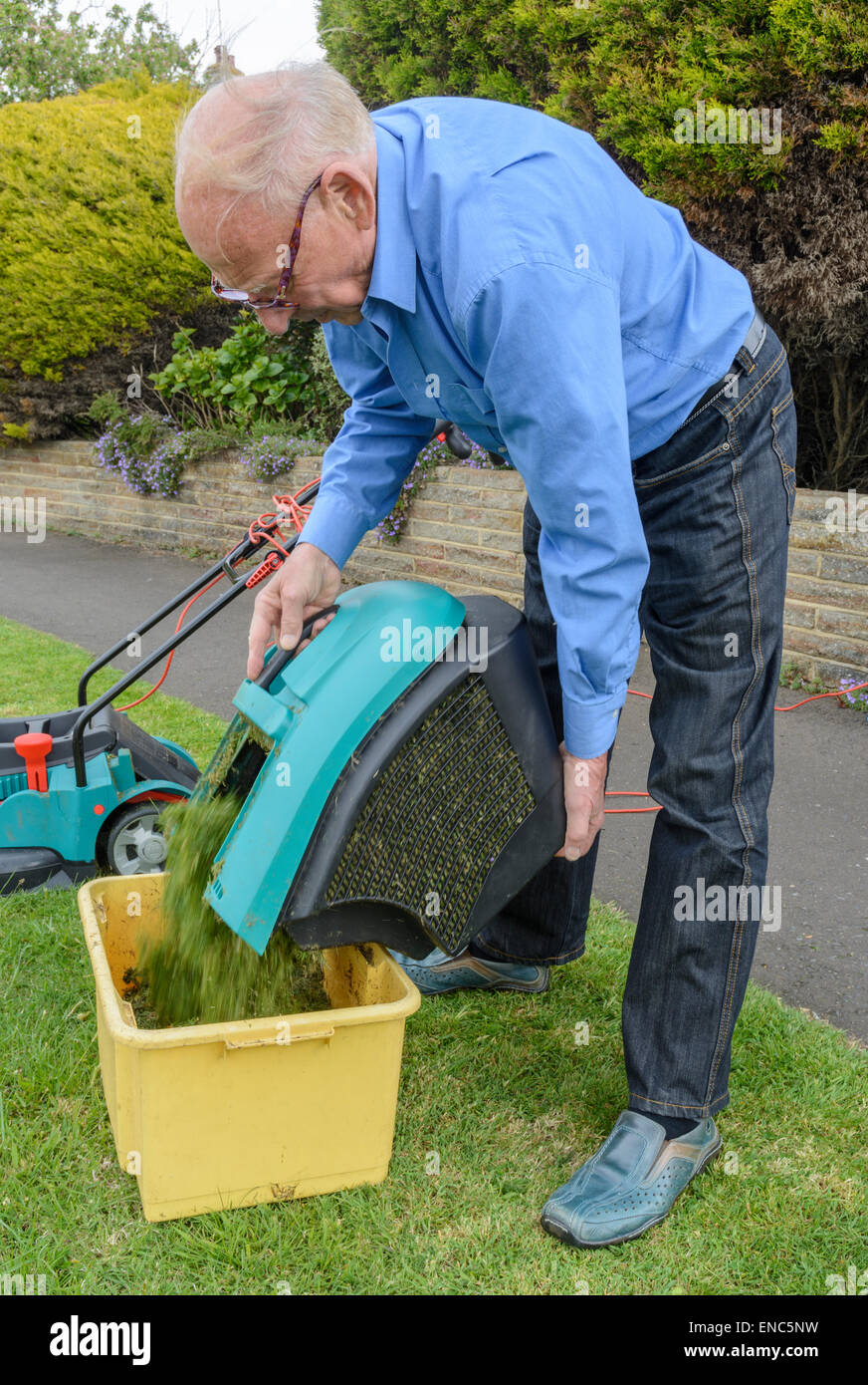 Elderly man emptying a grass box from a lawnmower, showing movement of the grass. Stock Photo