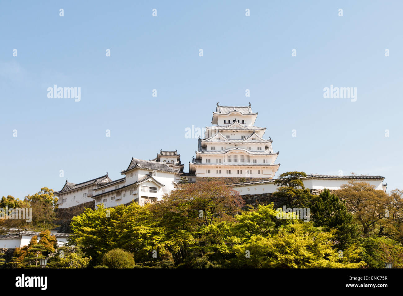 The restored Himeji castle keep as seen from the classic viewpoint from the castle park. Gleaming white against a blue cloudless sky in the springtime Stock Photo